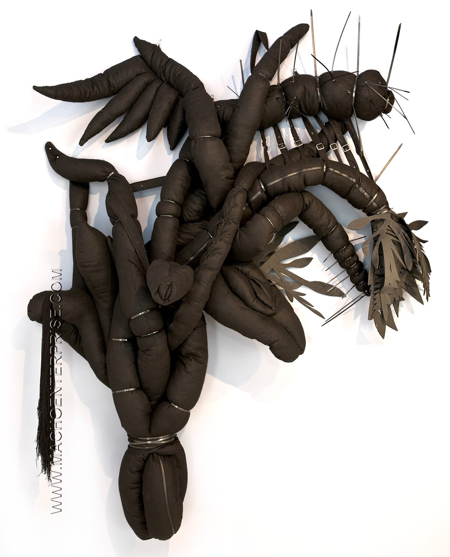 CIEBA NEGRA