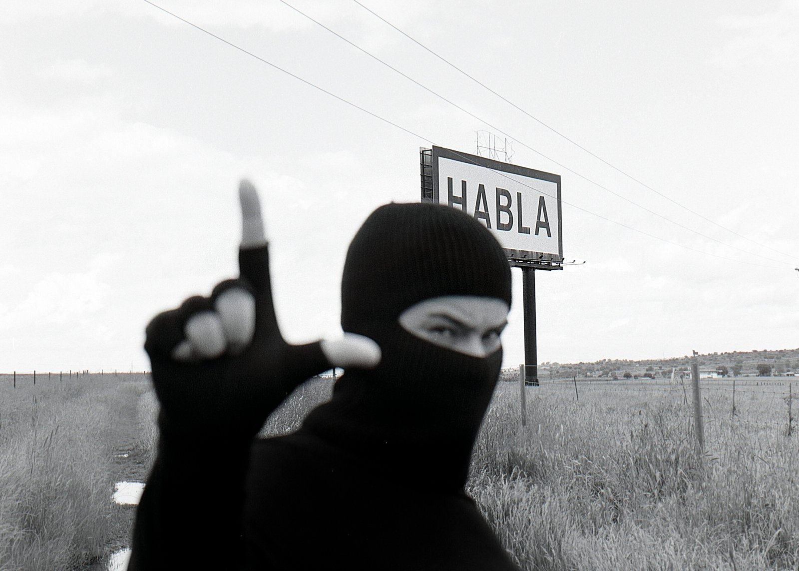 FREEDOM